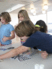 IMG_5435_t.gif