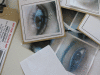 IMG_5481_t.gif