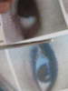 IMG_5483_t.gif