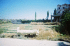 080319.JO.CNV00006_t.gif