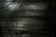 080402.Emily-Walker_t.gif