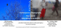 080514.aEchoes-invitation_t.gif