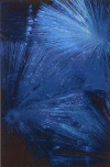 080527.PIC-001_t.gif