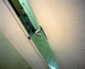 080625.5-Krisztina-Fazekas_t.gif