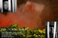 080715.Titelbild_t.gif