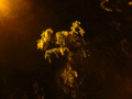 081118.Image-1_t.gif