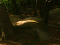 081118.Image-2_t.gif