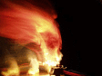 081127.lightboy_web_t.gif