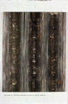 081209.foresta2-newprintmetro-1_t.gif