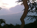 090106.GreenwichPark_21June2008(SolsticeDay)_t.gif