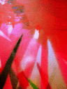 090127.DSCN2979_t.gif