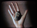 090310.DSCF0830_t.gif