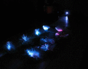 090505.IMG_2868_t.gif