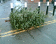 060103.xmas1_t.gif