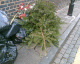 060104.xmas_2_t.gif
