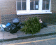 060104.xmas_t.gif