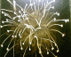 060105.firework_2_t.gif