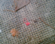 060108.Red_band_t.gif