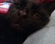 060111.jaz_t.gif