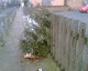 060112.casualty_t.gif