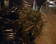 060113.Xmas_tree_t.gif