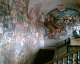 060130.diego2_t.gif