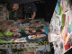 IMG_3656_t.gif