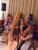 07170-L1070311_t.gif