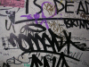 DSCN2252_t.gif