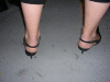 DSCN2260_t.gif
