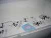 IMG_1050_t.gif