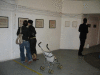 IMG_1132_t.gif