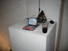 IMG_1168_t.gif