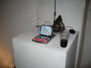 IMG_1169_t.gif