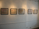 IMG_2103_t.gif